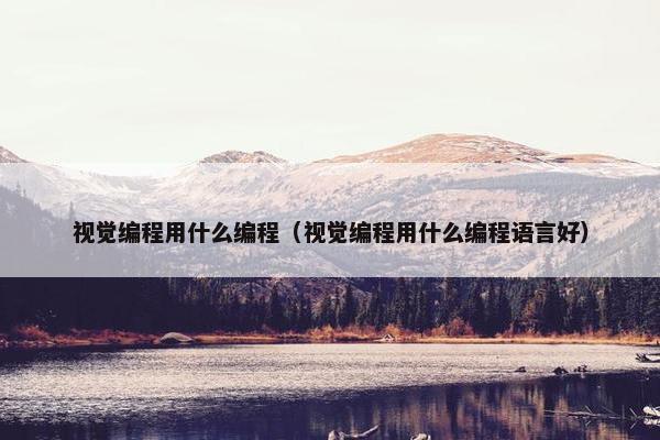 视觉编程用什么编程（视觉编程用什么编程语言好）