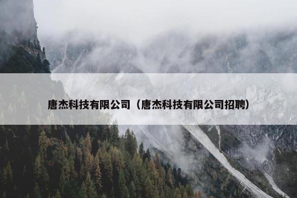 唐杰科技有限公司（唐杰科技有限公司招聘）