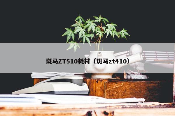斑马ZT510耗材（斑马zt410）
