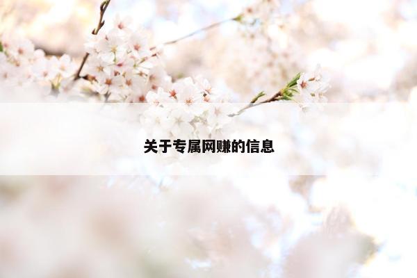 关于专属网赚的信息