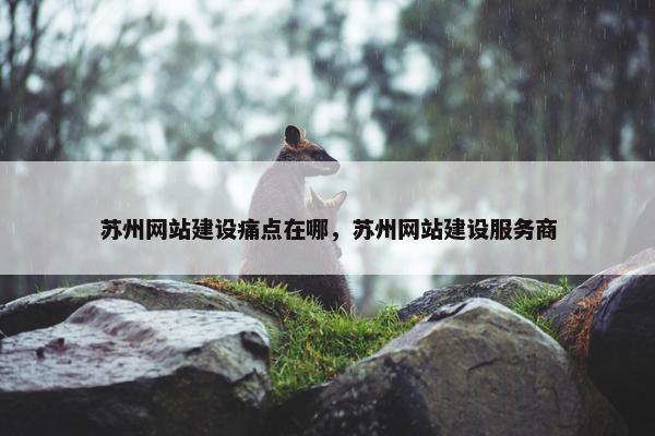 苏州网站建设痛点在哪，苏州网站建设服务商