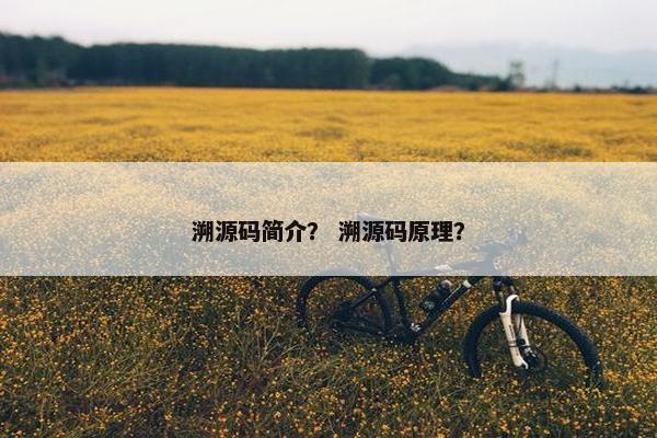 溯源码简介？ 溯源码原理？