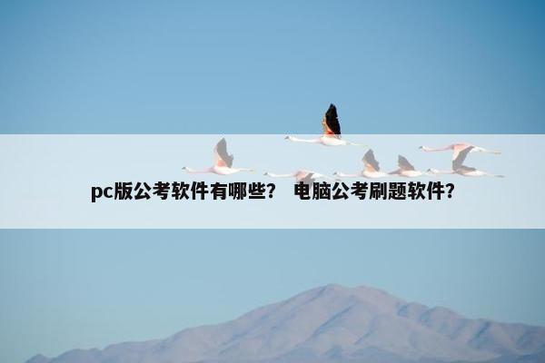 pc版公考软件有哪些？ 电脑公考刷题软件？