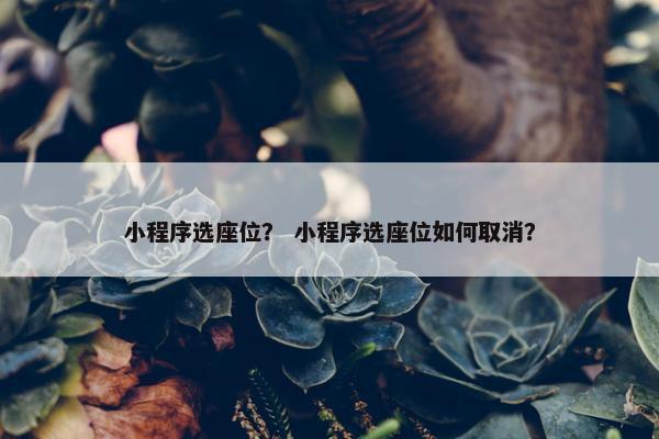 小程序选座位？ 小程序选座位如何取消？