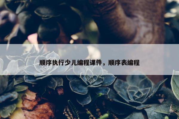 顺序执行少儿编程课件，顺序表编程