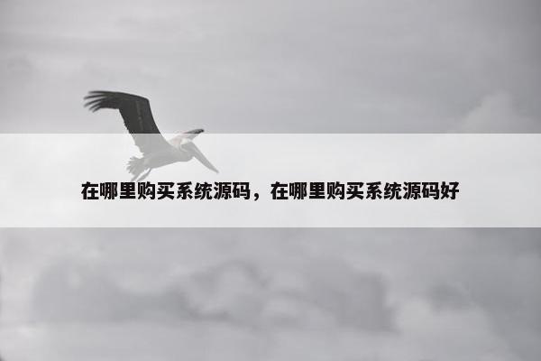 在哪里购买系统源码，在哪里购买系统源码好