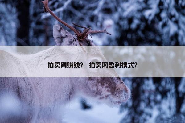 拍卖网赚钱？ 拍卖网盈利模式？