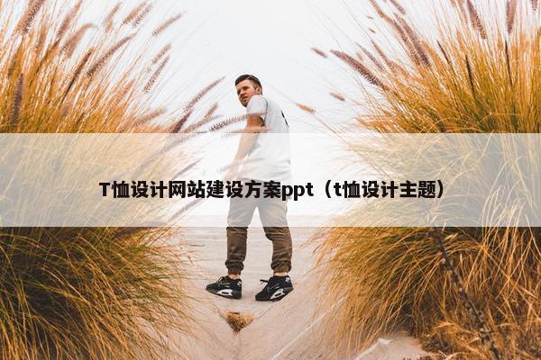 T恤设计网站建设方案ppt（t恤设计主题）