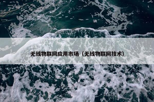 无线物联网应用市场（无线物联网技术）