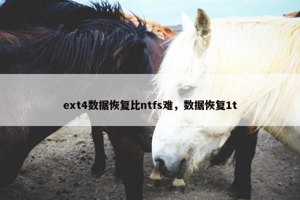 ext4数据恢复比ntfs难，数据恢复1t