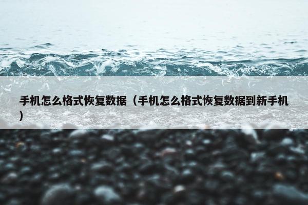 手机怎么格式恢复数据（手机怎么格式恢复数据到新手机）