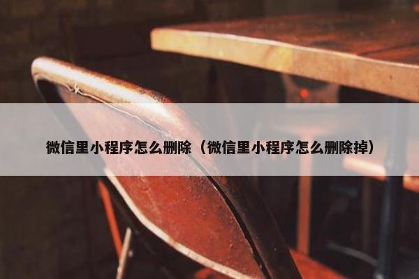 微信里小程序怎么删除（微信里小程序怎么删除掉）