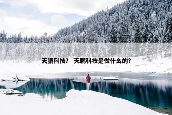 天鹏科技？ 天鹏科技是做什么的？