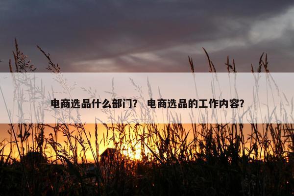 电商选品什么部门？ 电商选品的工作内容？