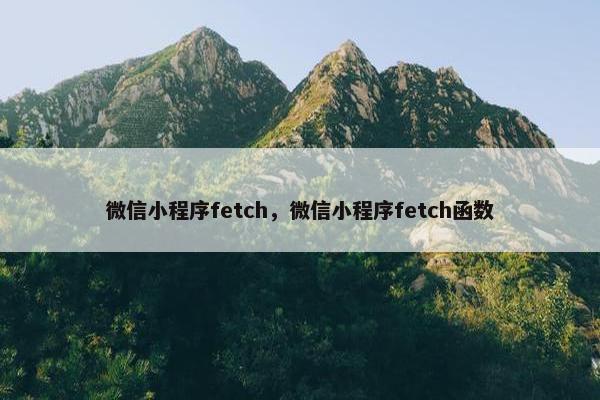 微信小程序fetch，微信小程序fetch函数