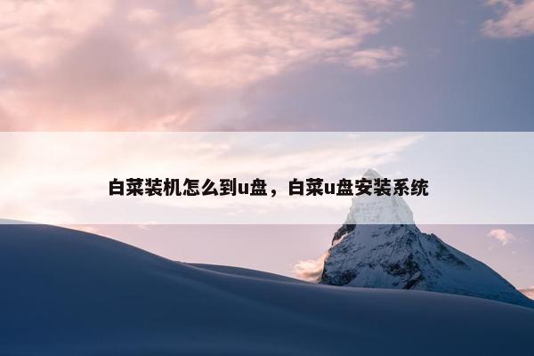 白菜装机怎么到u盘，白菜u盘安装系统