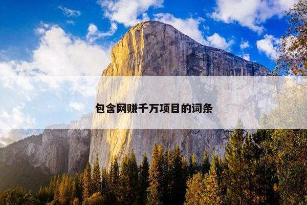 包含网赚千万项目的词条