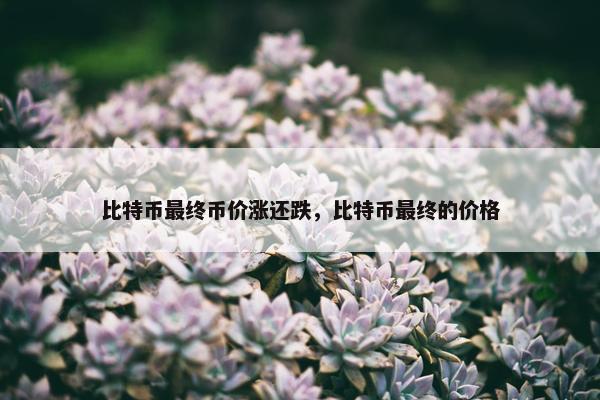 比特币最终币价涨还跌，比特币最终的价格