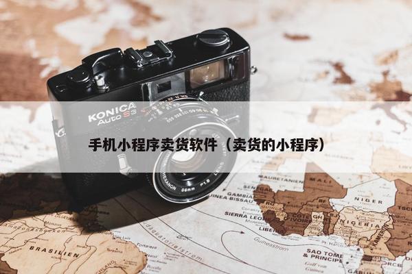 手机小程序卖货软件（卖货的小程序）