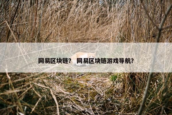 网易区块链？ 网易区块链游戏导航？