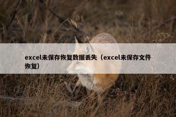 excel未保存恢复数据丢失（excel未保存文件恢复）