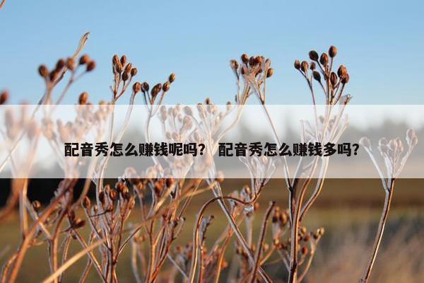 配音秀怎么赚钱呢吗？ 配音秀怎么赚钱多吗？