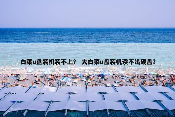 白菜u盘装机装不上？ 大白菜u盘装机读不出硬盘？