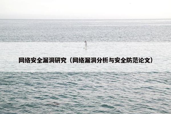 网络安全漏洞研究（网络漏洞分析与安全防范论文）
