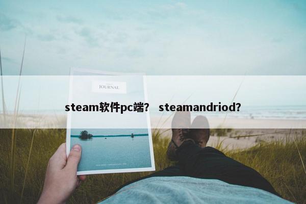 steam软件pc端？ steamandriod？