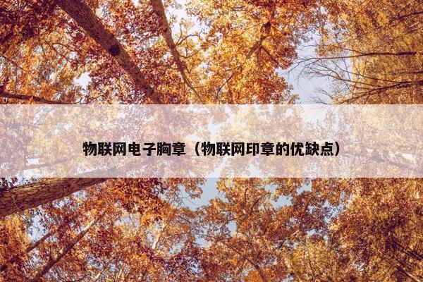 物联网电子胸章（物联网印章的优缺点）