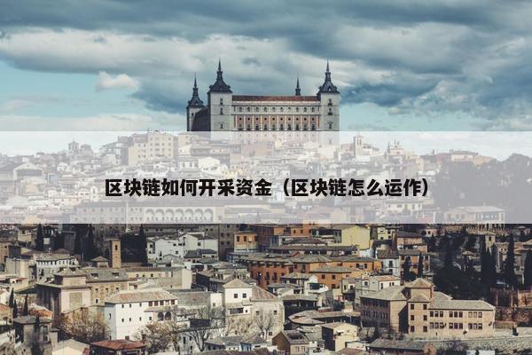 区块链如何开采资金（区块链怎么运作）