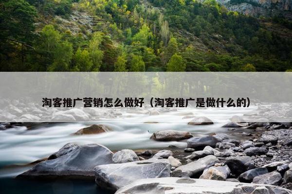 淘客推广营销怎么做好（淘客推广是做什么的）