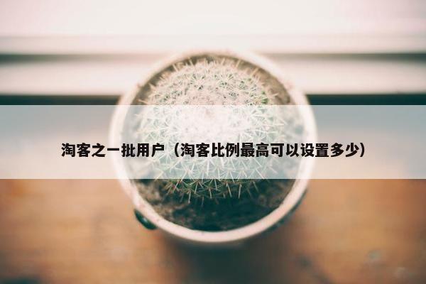 淘客之一批用户（淘客比例最高可以设置多少）