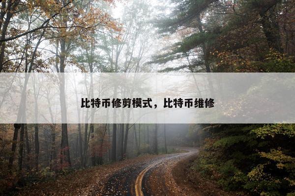 比特币修剪模式，比特币维修