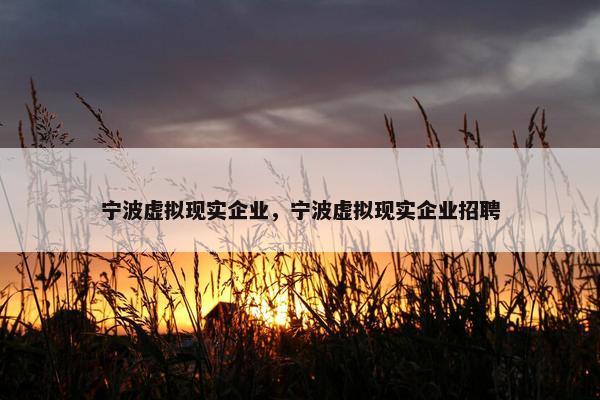 宁波虚拟现实企业，宁波虚拟现实企业招聘