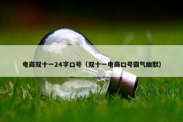 电商双十一24字口号（双十一电商口号霸气幽默）