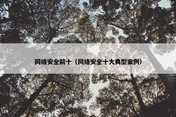 网络安全前十（网络安全十大典型案例）