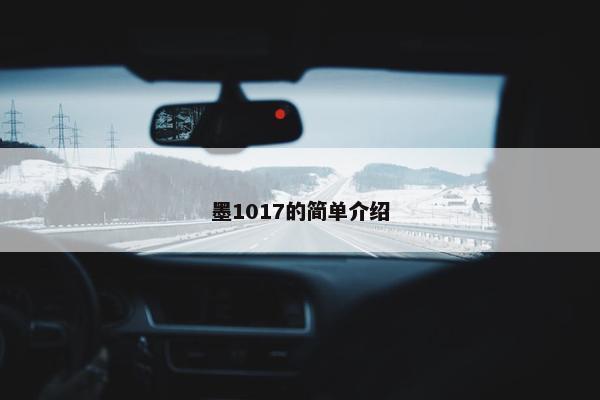 墨1017的简单介绍