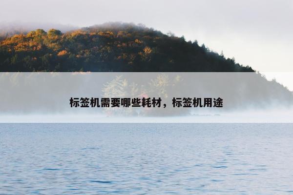 标签机需要哪些耗材，标签机用途
