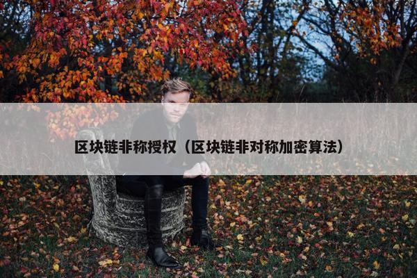 区块链非称授权（区块链非对称加密算法）