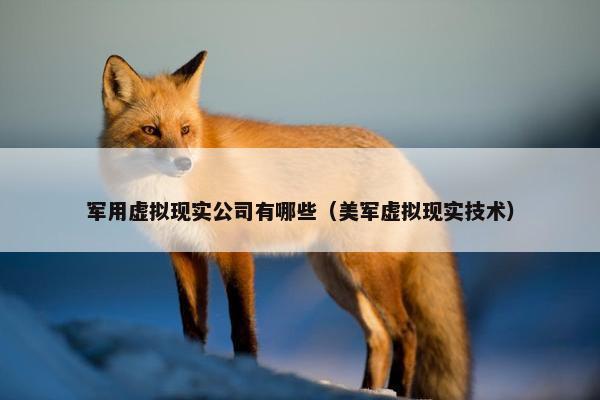 军用虚拟现实公司有哪些（美军虚拟现实技术）