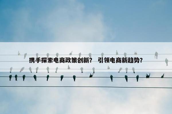 携手探索电商政策创新？ 引领电商新趋势？