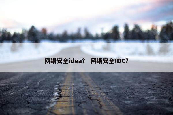 网络安全idea？ 网络安全IDC？