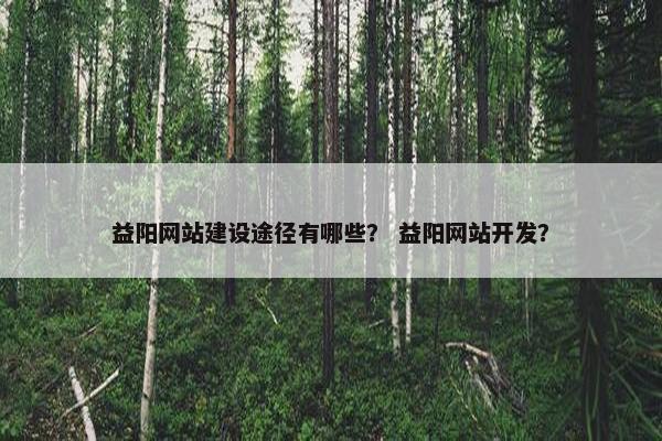 益阳网站建设途径有哪些？ 益阳网站开发？