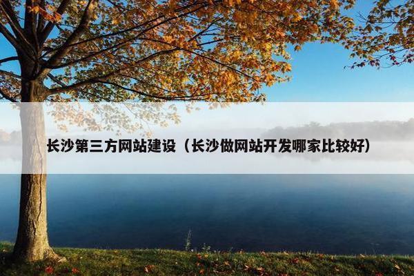 长沙第三方网站建设（长沙做网站开发哪家比较好）
