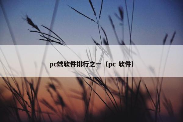 pc端软件排行之一（pc 软件）