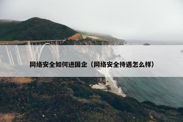网络安全如何进国企（网络安全待遇怎么样）