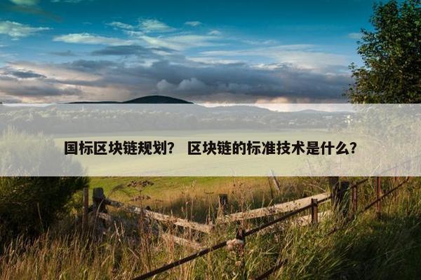 国标区块链规划？ 区块链的标准技术是什么？