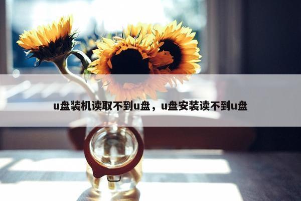 u盘装机读取不到u盘，u盘安装读不到u盘