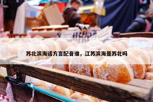 苏北滨海话方言配音谁，江苏滨海是苏北吗